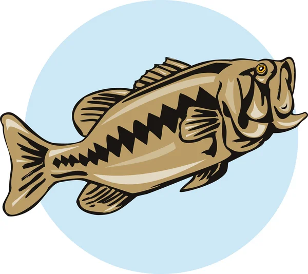 Largemouth bass — Stock Photo, Image