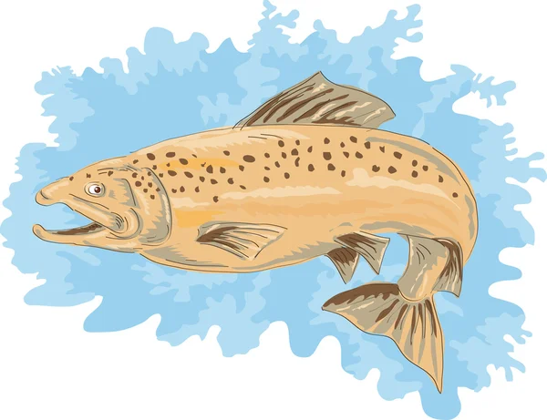 Fläckig speckled trout hoppning — Stockfoto