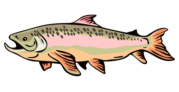Spotted trout — Stock Photo, Image