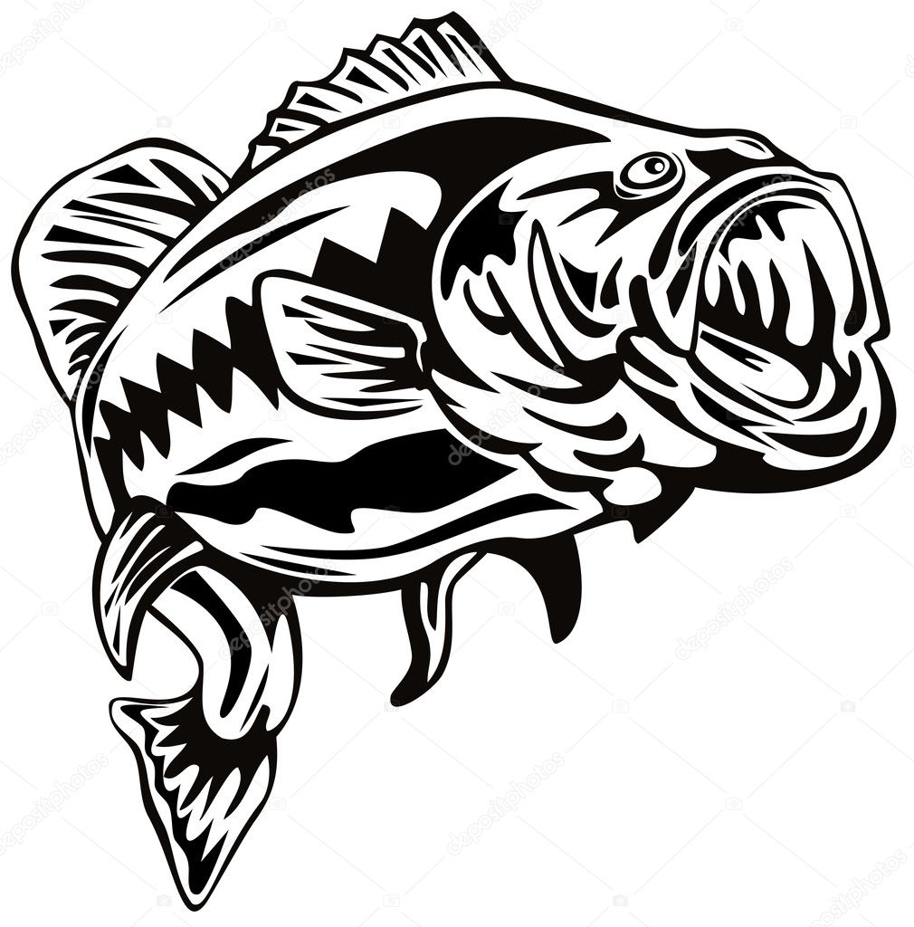 Largemouth bass — Stock Photo © patrimonio #2449387