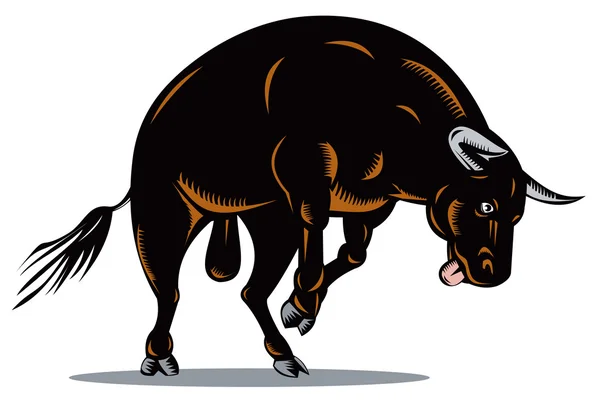 Arg rasande tjur attackerar — Stockfoto