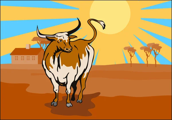 Arrabbiato furioso toro fattoria — Foto Stock