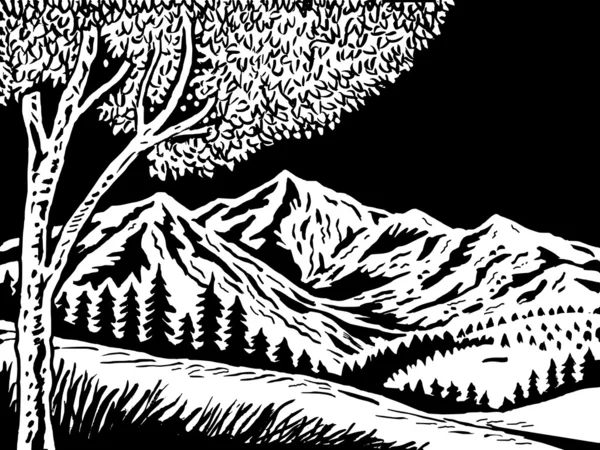 フォア グラウンドでツリーと山のシーン — ストック写真