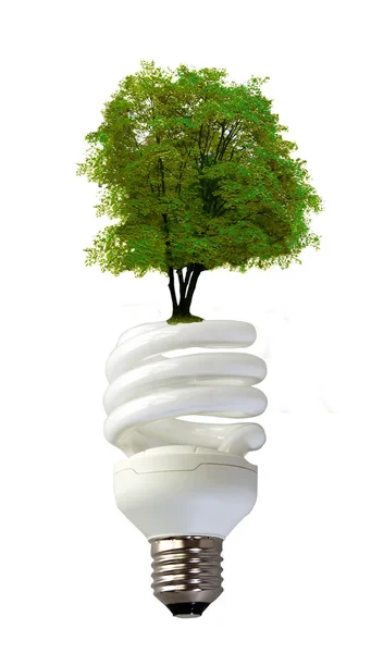 Spiral bulb with tree — Stock Photo, Image