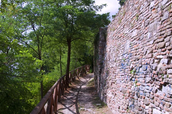 Wall of an old city in the wood — Stock Photo, Image