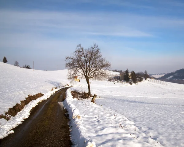 Route dans la neige — Photo