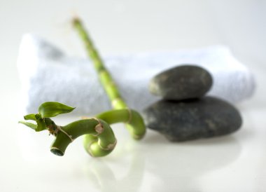 Bamboo branch with stones and towel clipart