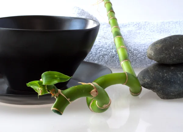 Bambu och cup — Stockfoto