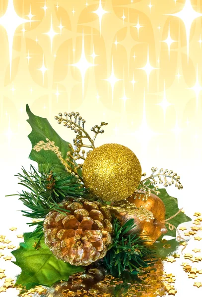 Christmas decoration - green branch — Stock Photo, Image