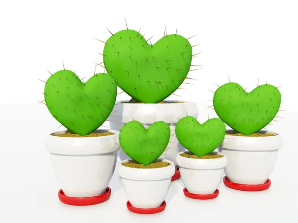 Cactus verde como corazón — Foto de Stock