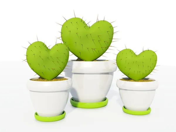 Gröna kaktus som hjärta — Stockfoto