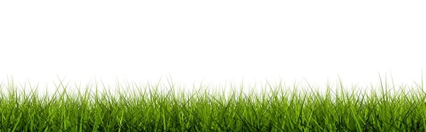 Nahaufnahme aus Gras — Stockfoto
