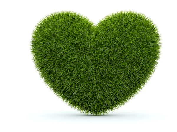 Srdce z trávy — Stock fotografie
