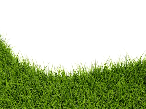 Primer plano de hierba — Foto de Stock