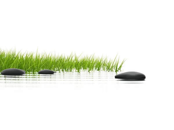 Grama verde com pedras refletem na água — Fotografia de Stock