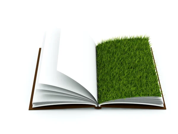 Kniha s trávou na stránce — Stock fotografie