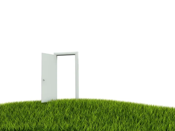 Öppnade dörren på grönt gräs — Stockfoto