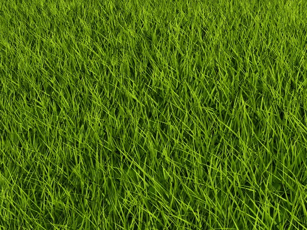 Трава фону — стокове фото