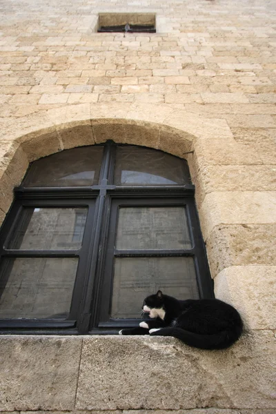 Czarny kot w oknie — Zdjęcie stockowe