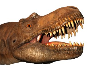 Dinosaur Head clipart