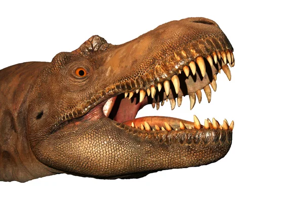 Głowa dinozaura — Zdjęcie stockowe