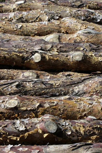 Wood — Stock Photo, Image