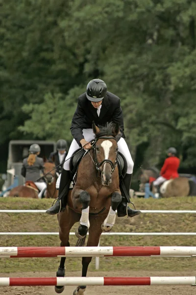 Jockey Com Seu Cavalo Pulando Sobre Um Obstáculo Pulando Sobre O Obstáculo  Na Competição Foto de Stock - Imagem de movimento, equestre: 194863184