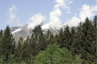 yüksek dağlarda bahar