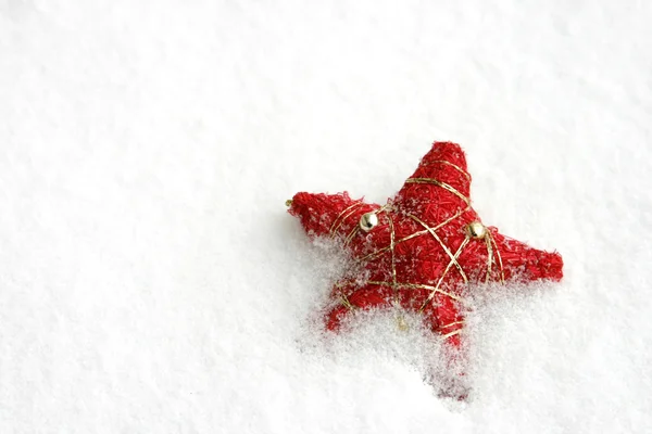 Christmas star — Stock Photo, Image