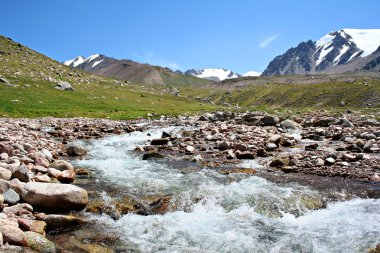 Stream of mountain river in Tien Shan clipart