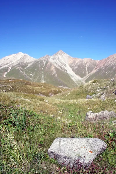 Mountain valley with blue sky. Tien Shan — Stock Photo, Image