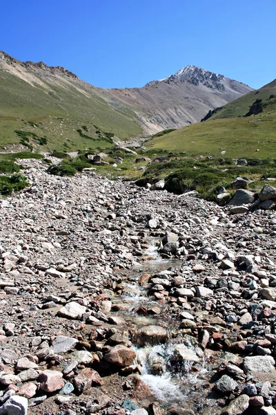 Górski potok wśród kamieni, tien shan — Zdjęcie stockowe