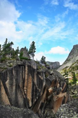 Huge stone block with pines and fir tree clipart