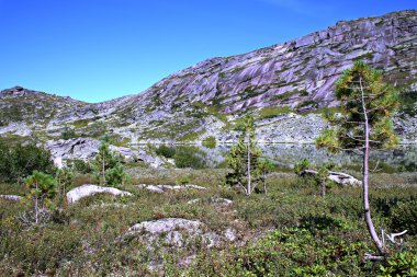 göl ve sayan ridge karşı çam ağaçları