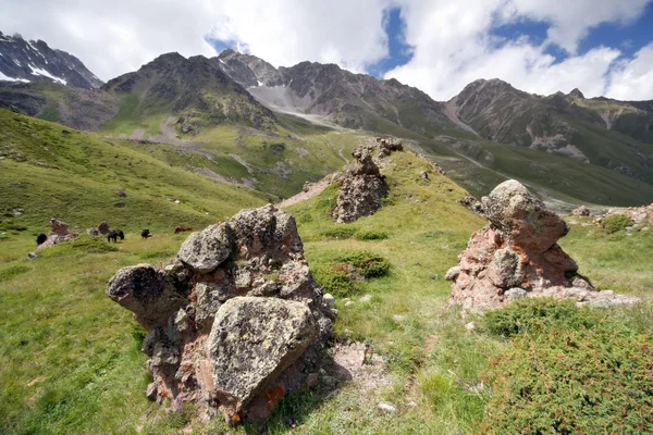 Rocas en el valle de la montaña del Cáucaso — Foto de Stock