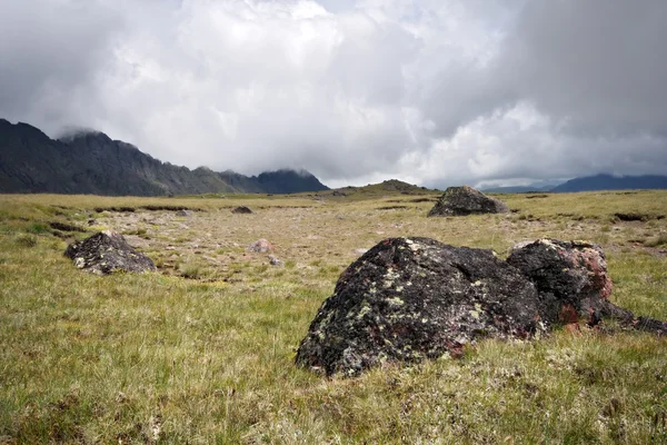 Pasto montanhoso com pedras contra nevoeiro — Fotografia de Stock