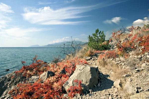 Rochers sur la côte de la mer Noire en automne — Photo