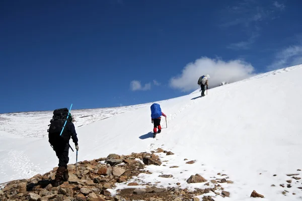 Alpinists 코 카 서 스 산에 등반에 — 스톡 사진
