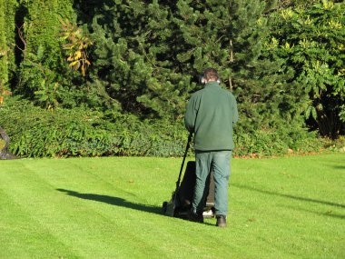 Cutting grass clipart