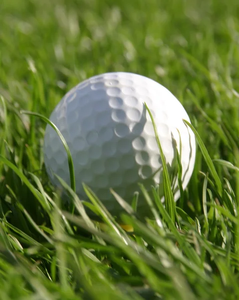 Golfball en la hierba —  Fotos de Stock