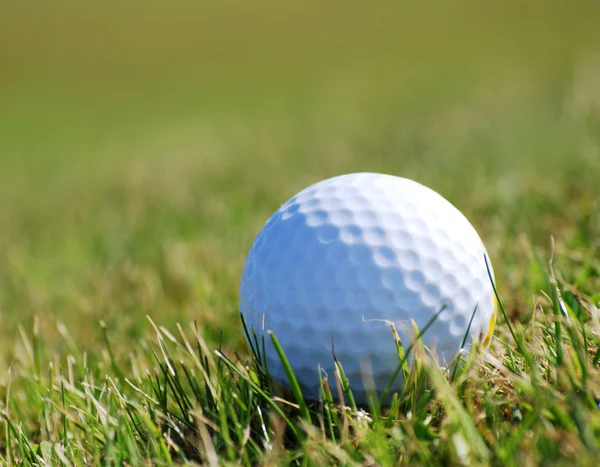 Golfball na trávě — Stock fotografie