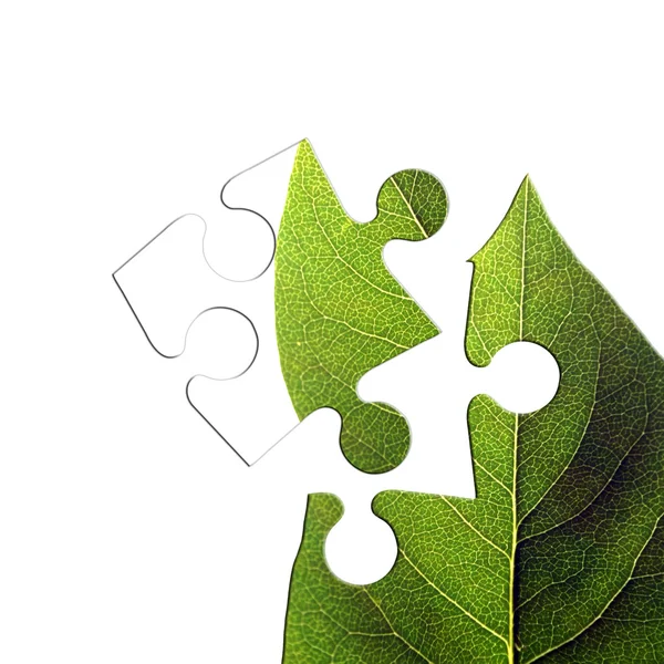 Groene blad jigsaw — Stockfoto