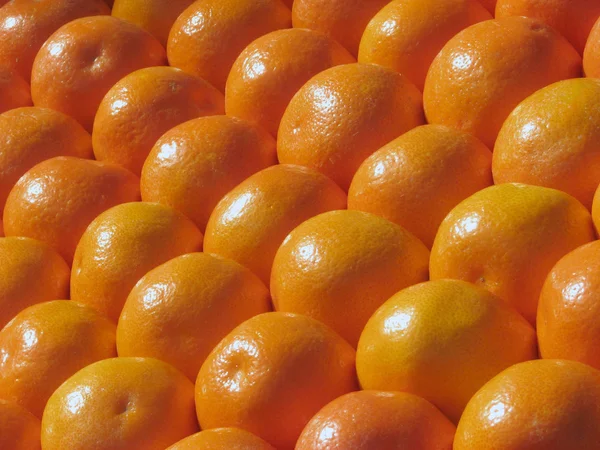Sommarfrukt — Stockfoto