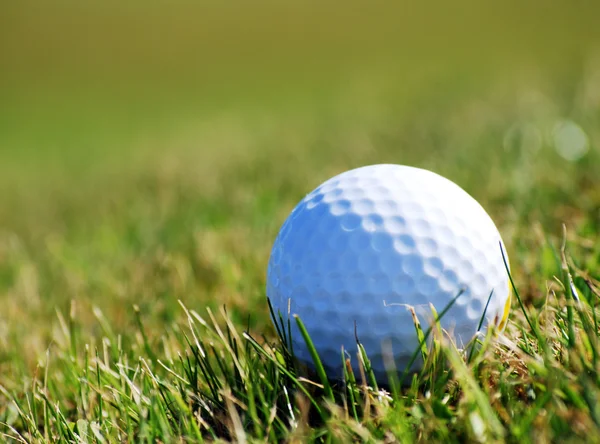 Pallone da golf in erba — Foto Stock