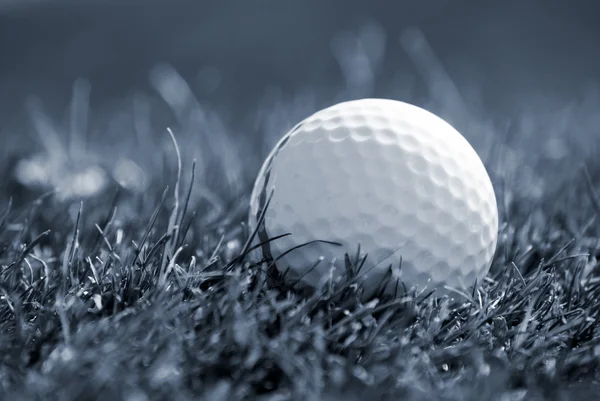 Golfboll i gräs — Stockfoto
