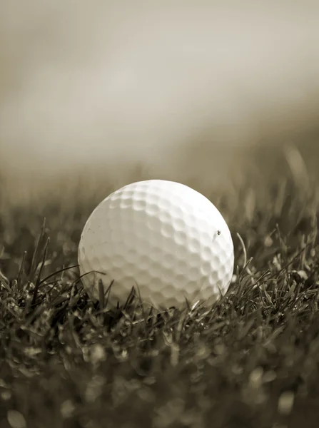 草のゴルフボール — ストック写真
