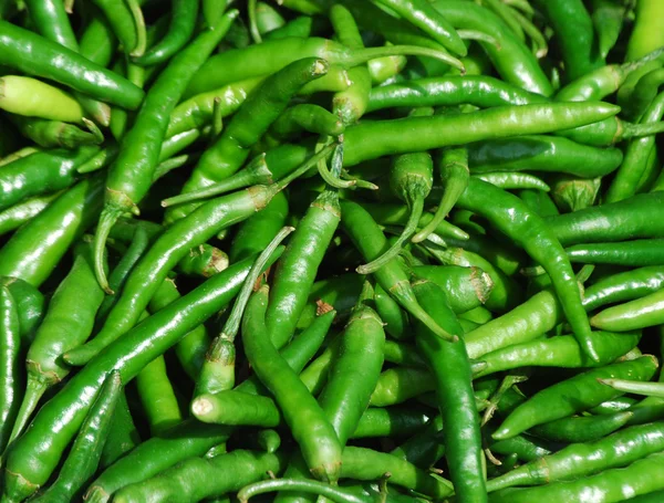 Yeşil chilis — Stok fotoğraf
