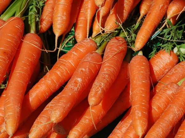 Raw carrots — Stock Photo, Image