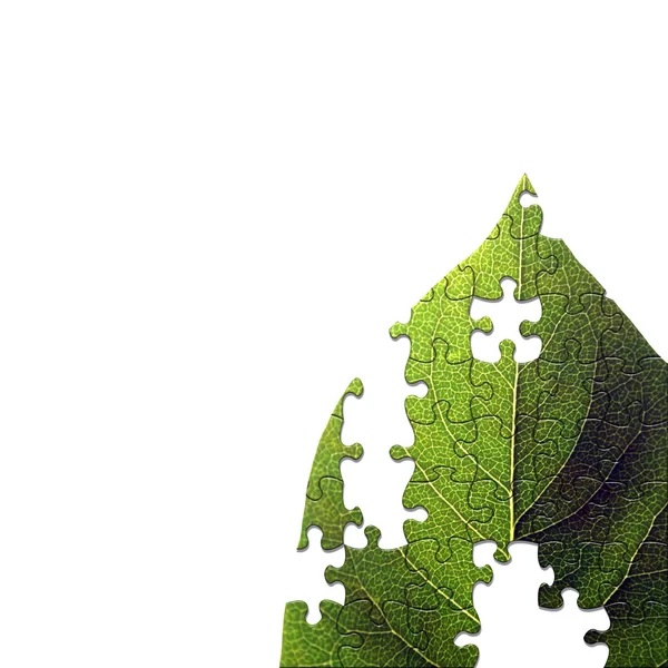 Leaf jigsaw — Stock Photo, Image