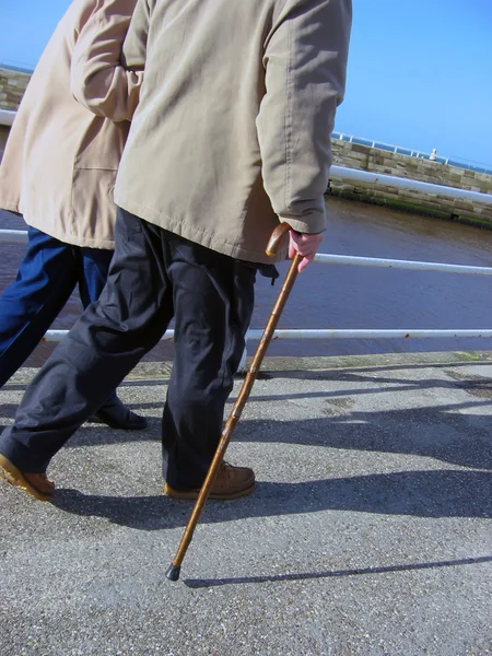 Seniorzy chodzący — Zdjęcie stockowe